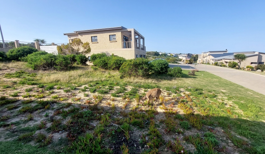 0 Bedroom Property for Sale in Dana Bay Western Cape